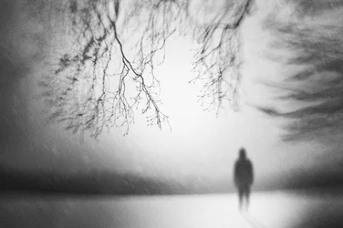 Figura solitária no inverno