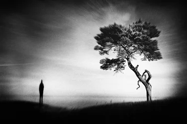 Figura solitária, árvore solitária
