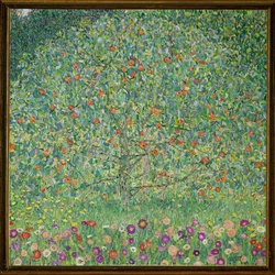 Macieira I