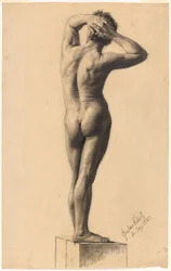 Nu Masculino
