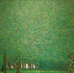 Parque