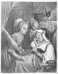 The Princess and Fairy Spite, gravada por Stephane Pannemaker (1847-1930) 1861 (gravura)