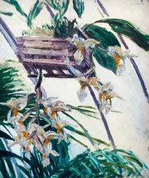 Orquídeas, c. 1893 (óleo sobre tela)