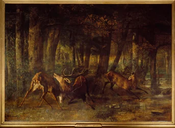 Cio da Primavera, luta de veados. Pintura de Gustave Courbet (1819-1877)