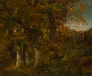 Paisagem arborizada