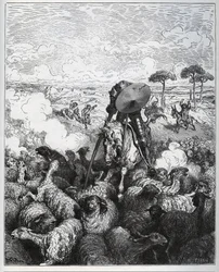 Dom Quixote ataca um rebanho de ovelhas, julgando estar perante o exército de Alibanfaron de Taprobana - de «Dom Quixote de la Mancha» de Miguel de Cervantes (1547-1616) (Dom Quixote) - xilogravura a partir de um desenho de Gustave Doré