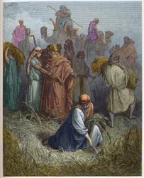 Ruth e Boaz (Booz) - Ruth trabalhando nos campos de Boaz (Boaz) (Ruth e Boaz) - - Gravura em "A ilustração bíblica" de Gustave Dore (1832-1883) - Gravura em "A Bíblia Dore