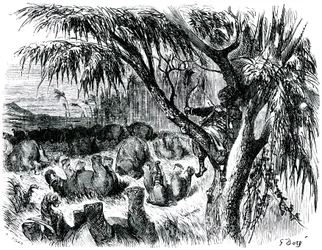 Sindbad, o marinheiro (Sinbad) - conto das mil e uma (1001) noites - ilustração de Gustave Dore - edição Maxwell 1865 - Sétima viagem: Sindbad, empoleirado numa árvore, puxa com o seu arco sobre elefantes