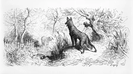 &39;O Lobo e o Cordeiro&39;, ilustração de &39;fábulas&39; de Jean de La Fontaine (1621-95) 1868