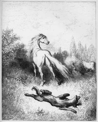 o cavalo e o lobo - O Cavalo e o Lobo - de "Fábulas" de Jean de La Fontaine