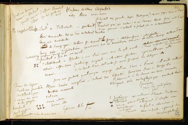 Folha 41 do livro de exercícios n. 19 Página de manuscritos dos rascunhos de Gustave Flaubert. Planos para Bouvard e Pecuchet. BHVP.