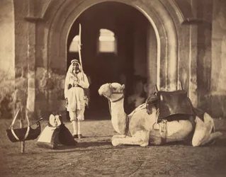 Camelo deitado, c.1866 (fotogravura)