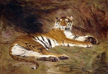 Um tigre reclinado