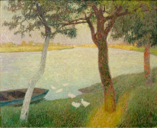 Patos no rio Leie