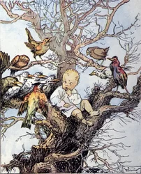 Ilustração para “La storia di Peter Pan””, fábula de James Matthew Barrie (JM ou J. M. Barrie