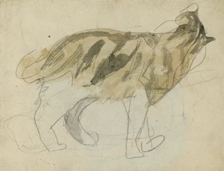 Estudos de gatos (lápis com aguarela sobre papel)