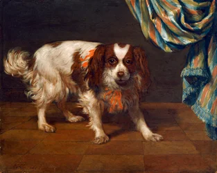 Um Rei Charles Spaniel (óleo sobre painel)