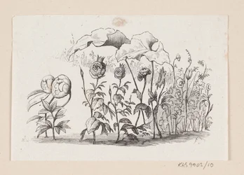 Ilustração para "Den lille Idas Blomster" em H.C. Andersen, "Contos de fadas e histórias", Volume 1