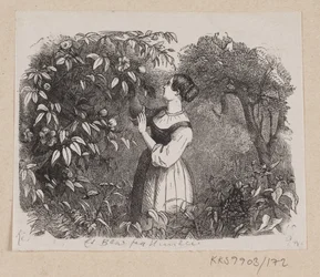 Ilustração para "A Leaf from Heaven" em H.C. Andersen, "Contos de fadas e histórias", Volume 2