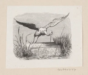 Ilustração para "As Cegonhas" em H.C. Andersen, "Contos de fadas e histórias", Volume 1