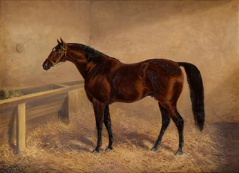 Wenlock : Um cavalo de corrida de baía, numa caixa solta, c.1881-1903 (óleo sobre tela)