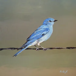 Picador, c.2025 (óleo sobre masonite)