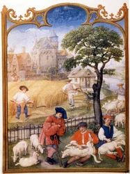 Trabalho de campo, tosquia de ovelhas e camponeses cortam trigo. Miniatura atribuída ao Memling. Placa retirada do Breviaire Grimani do século XV. Biblioteca Marciana, veneza.