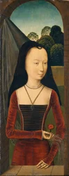 Mulher jovem com uma rosa, c.1485-90 (óleo sobre madeira)