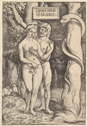 Adão e Eva, 1511.