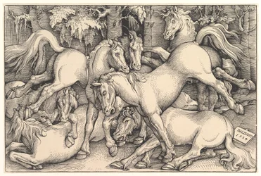 Grupo de sete cavalos, 1534.