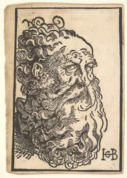 Cabeça de um homem barbudo, ca. 1518-19.