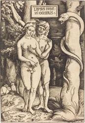 Adão e Eva, 1511