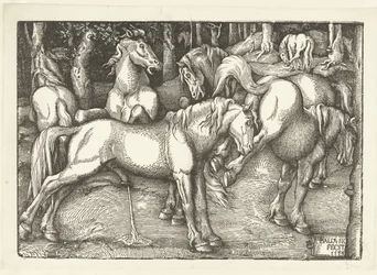 Grupo de seis cavalos de combate