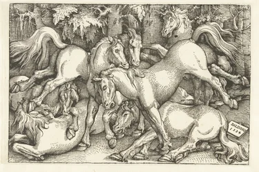Grupo de sete cavalos de luta