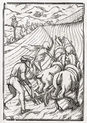 A morte chega para o fazendeiro ou lavrador, gravada por Georg Scharffenberg, de &39;Der Todten Tanz&39;, publicada em Basel, 1843
