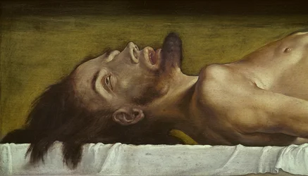 O Corpo dos Mortos Cristo, detalhe da cabeça, 1521 têmpera na lenha