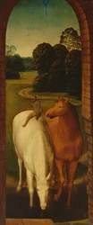 Dois cavalos em uma paisagem
