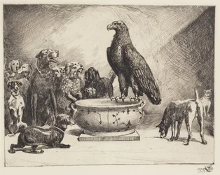 A águia e os cães