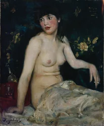 Ana Negra