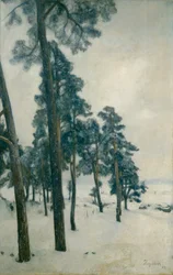Do lago Bogstad