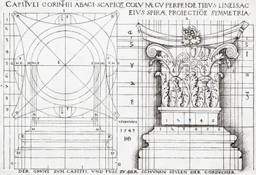 Corte transversal da capital coríntia e desenho proporcional