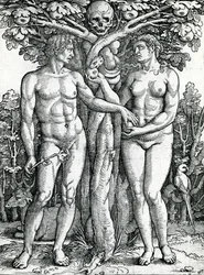 A Queda de Adão e Eva, c. 1525-27