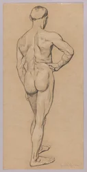 Nu masculino visto de costas