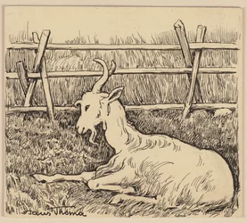 Desenho para a cartilha: Cabra