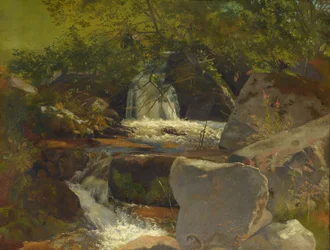 Ribeiro da Floresta Negra