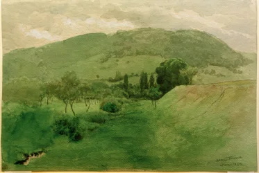 Paisagem Floresta Negra