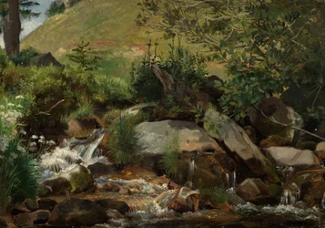 Ribeiro de prado com arbustos e ervas