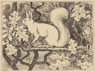 Ilustração do livro de leitura: Eichhorn