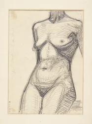 Torso do modelo feminino