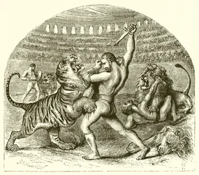 O leão da luta da Roma antiga